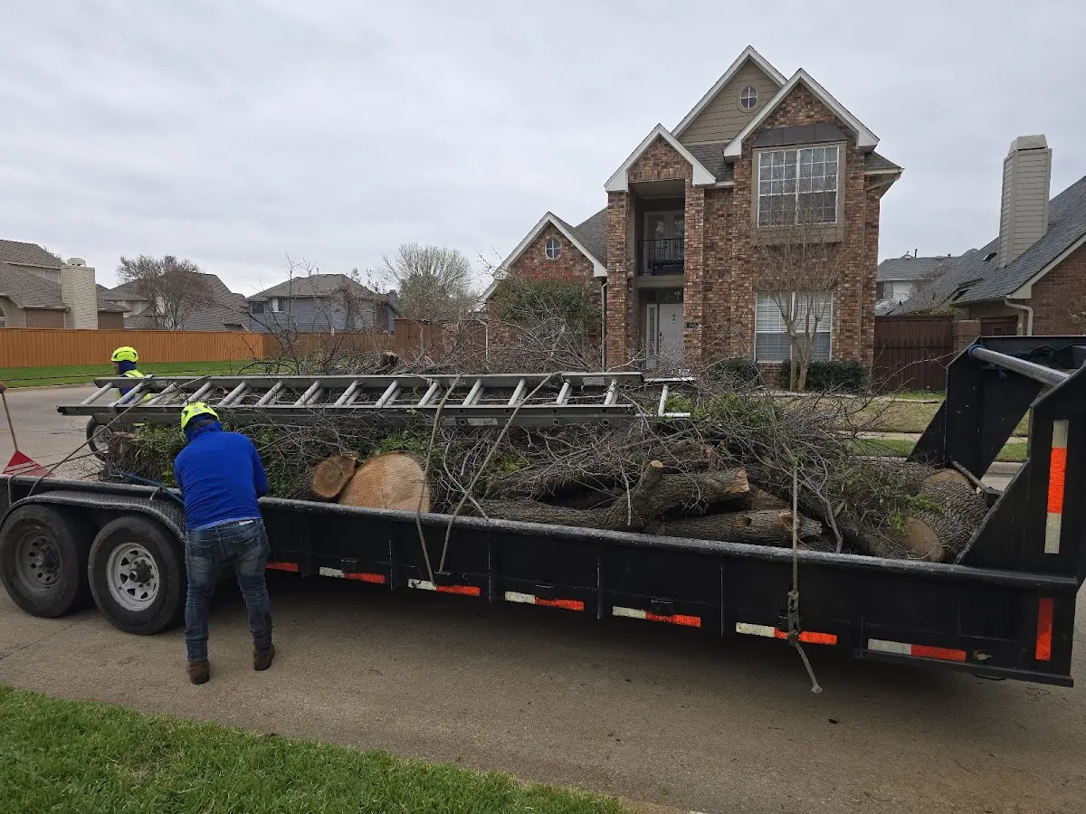 Expert Tree Fertilization with proper safety equipment in Moyers